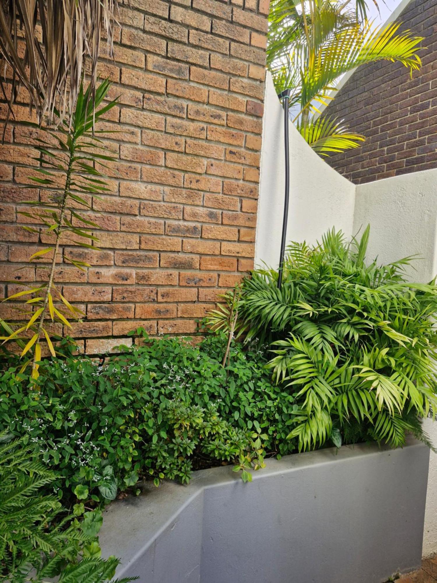 Mountain Rose Cottage 贝尔维尔 外观 照片